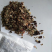 冬瓜荷叶茶