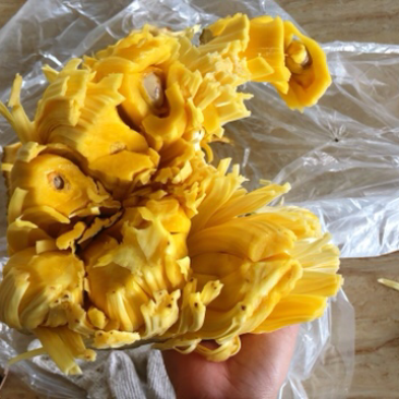 粤西广东茂名菠萝蜜产地直销批发#专业代办.一条龙服务