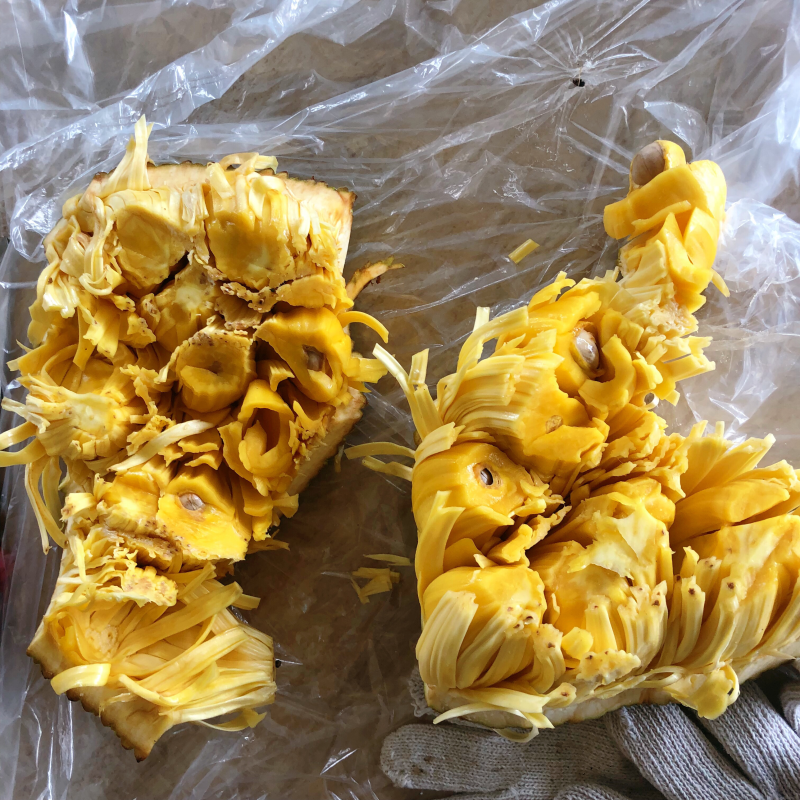 #菠萝蜜大量上市，需要可以联系我，质量保证