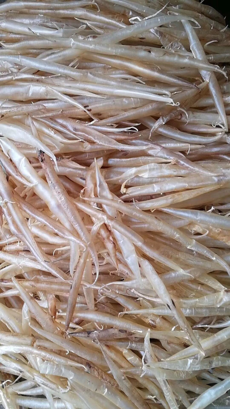 鱼鳔