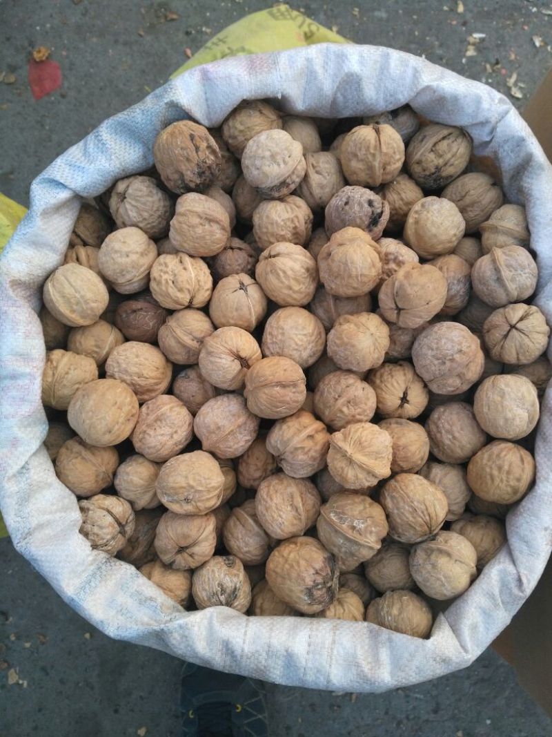 核桃30mm以上去皮干