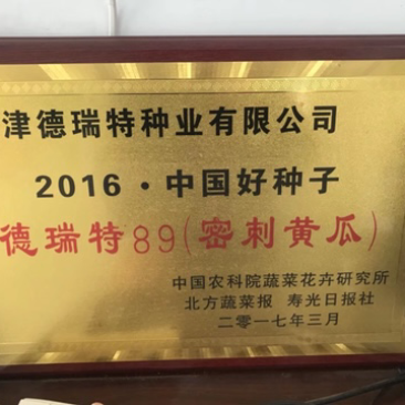 德瑞特89晚春，越夏黄瓜