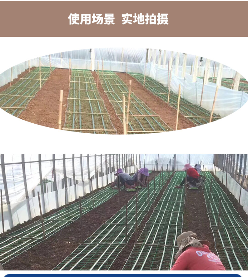 16内镶贴片式滴灌带膜下滴管带大棚蔬菜农用节水灌溉水带滴