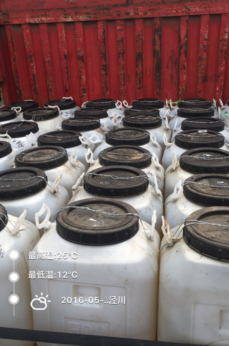 洋槐蜂蜜