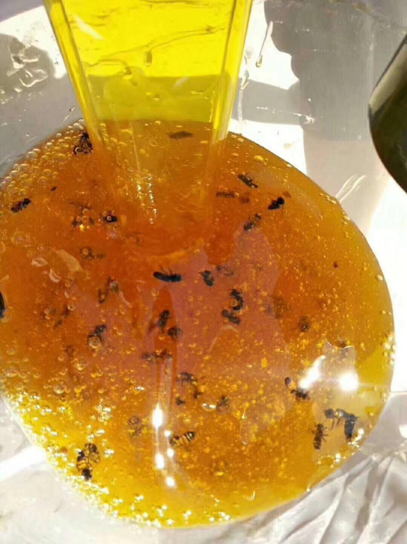 向日葵蜂蜜