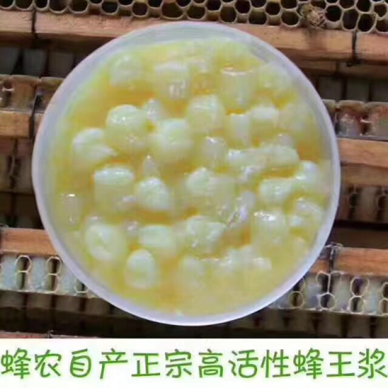 蜂王浆