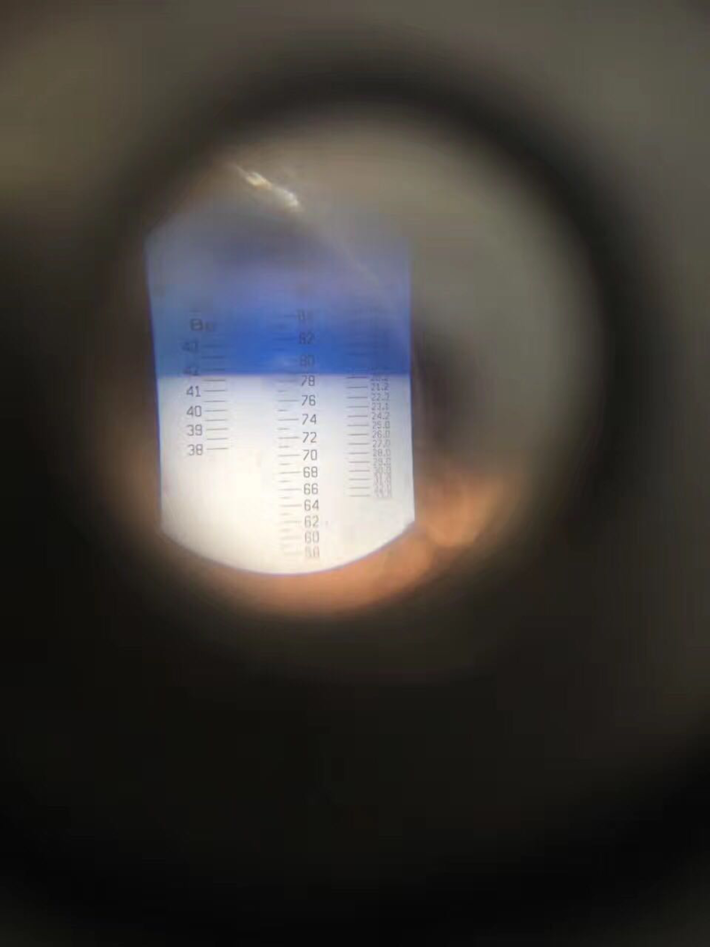 洋槐蜂蜜