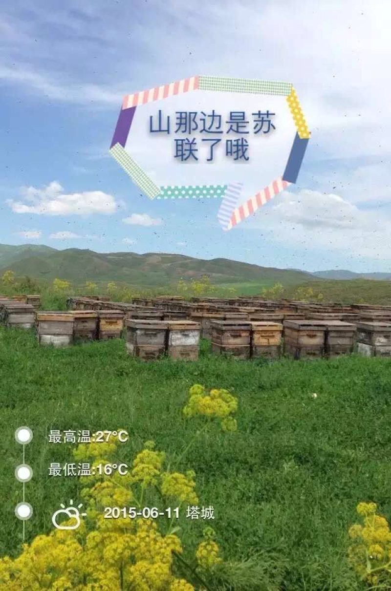 百花蜜