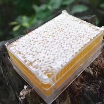 蜂巢蜜精选封盖率98%