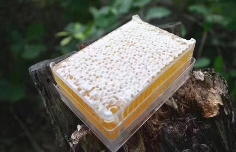 蜂巢蜜精选封盖率98%