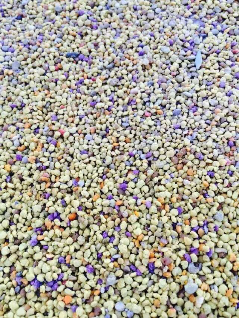 蜂花粉