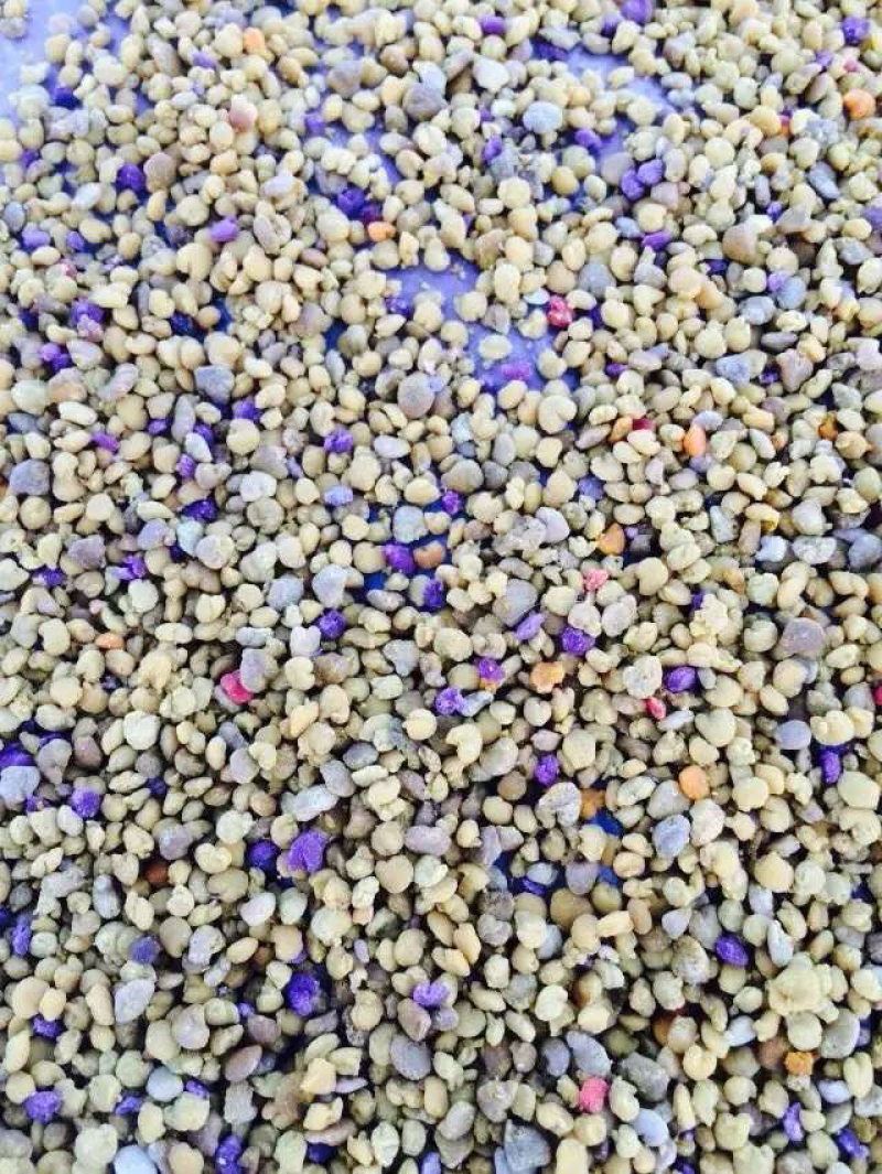 蜂花粉