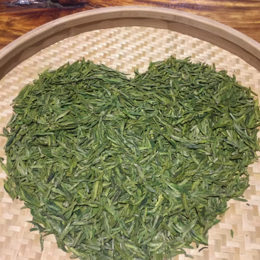 西湖龙井群体茶