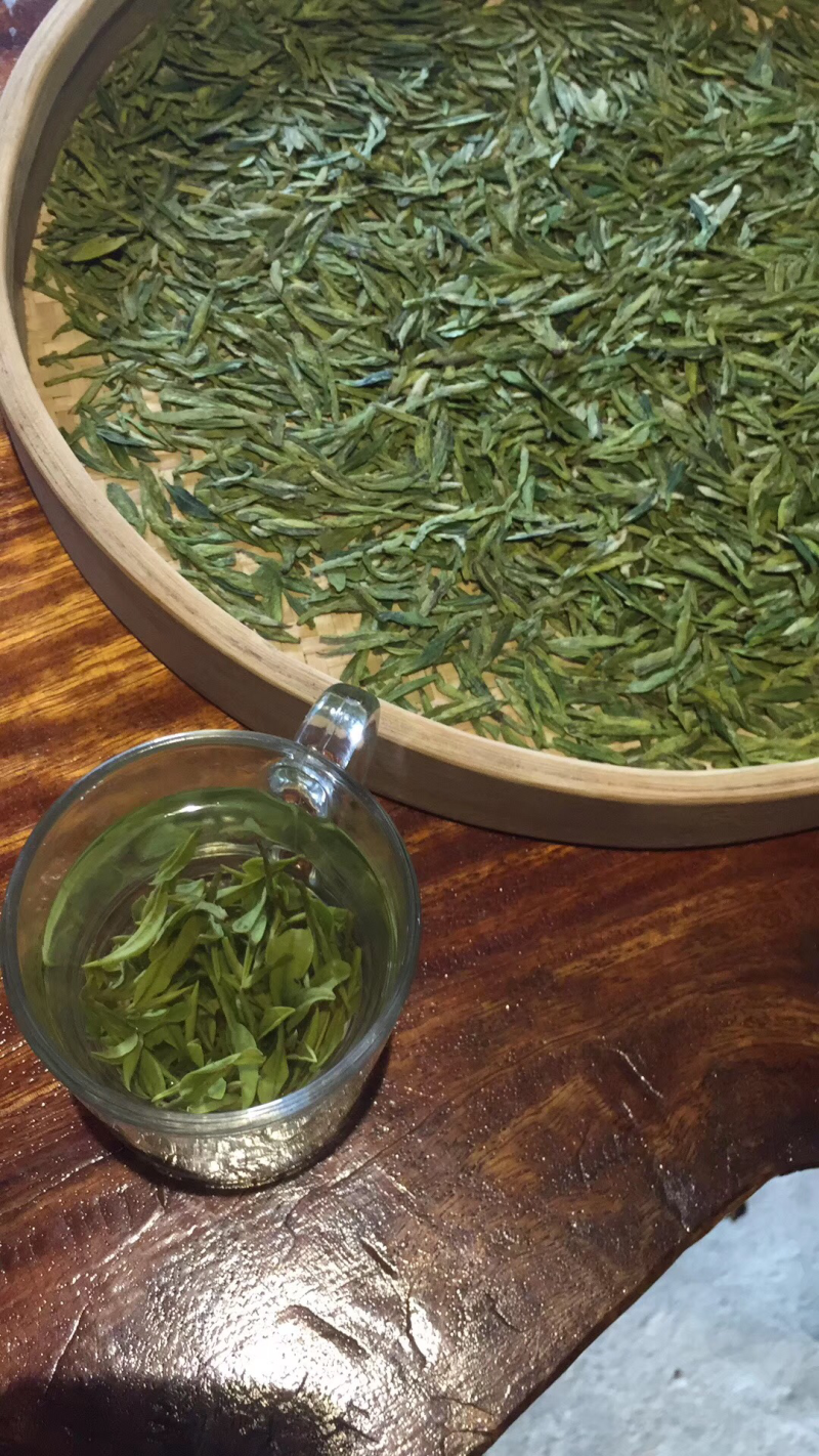 西湖龙井群体茶