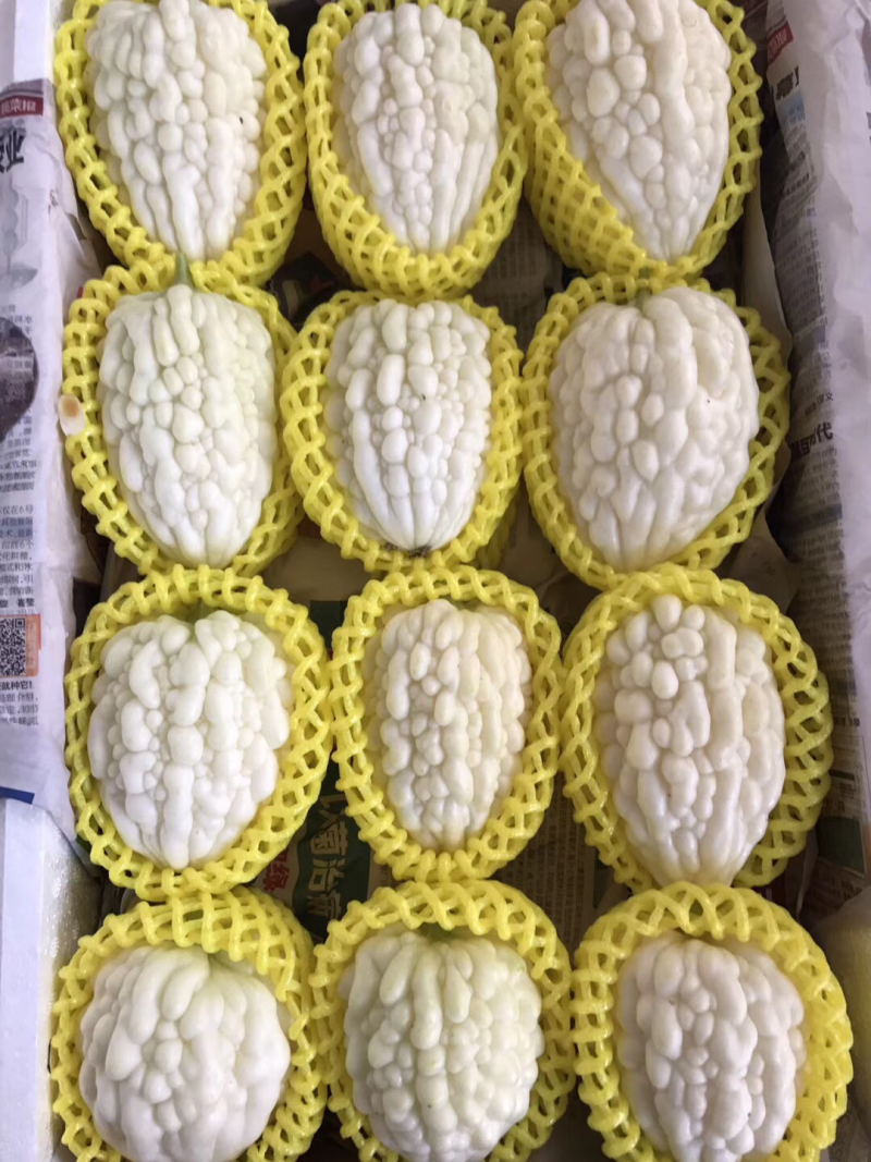 苹果苦瓜