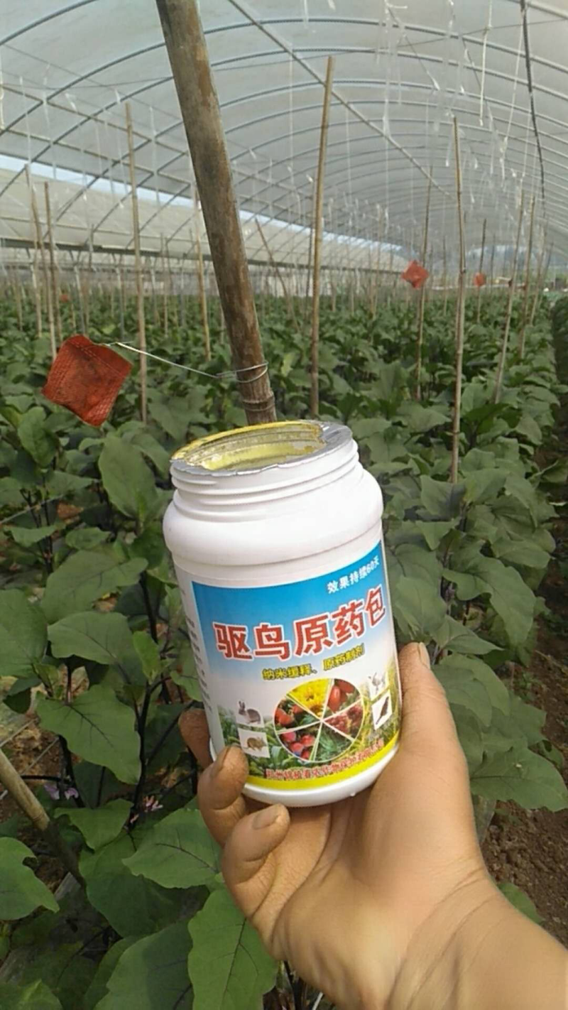 驱鸟