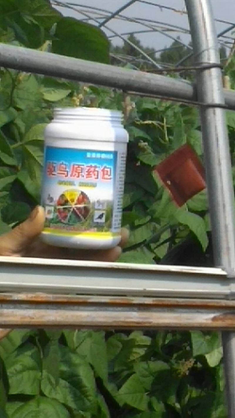 驱鸟