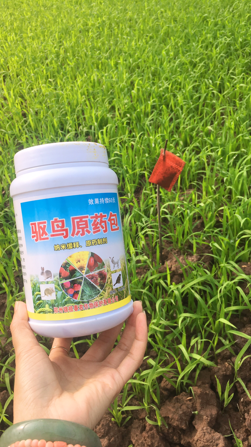 驱鸟