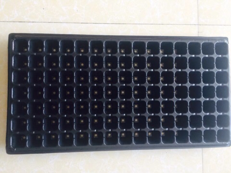 育苗穴盘，育苗盘，穴盘，营养盘，32穴100克重没张