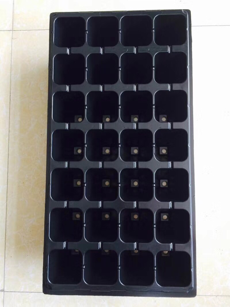 育苗穴盘，育苗盘，穴盘，营养盘，32穴100克重没张