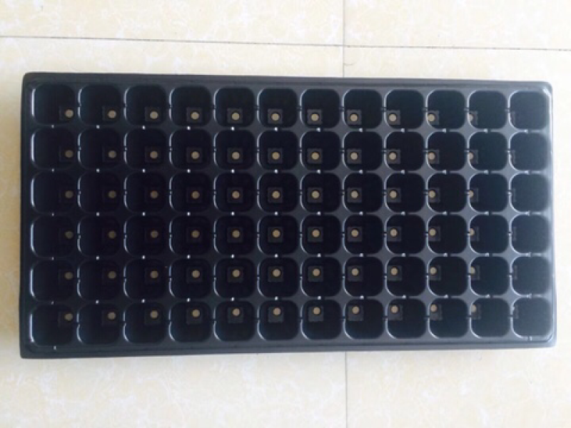 育苗穴盘，育苗盘，穴盘，营养盘，32穴100克重没张