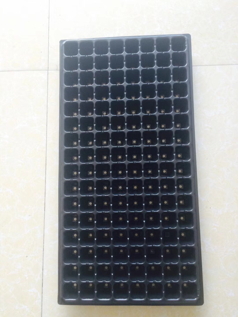 育苗穴盘，育苗盘，穴盘，营养盘，32穴100克重没张