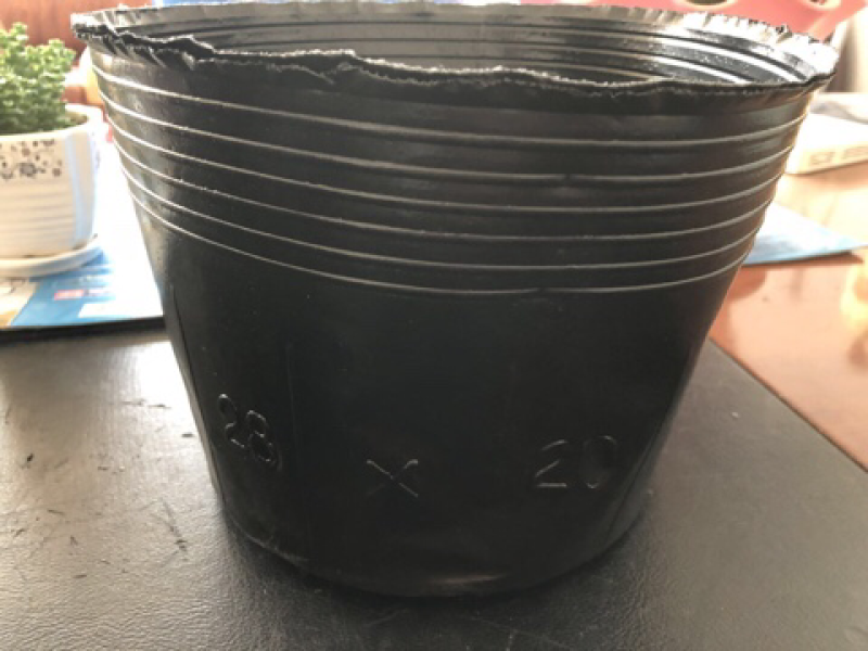 【热销】营养钵荷花专用杯无空营养钵荷花盆水生植物营养钵