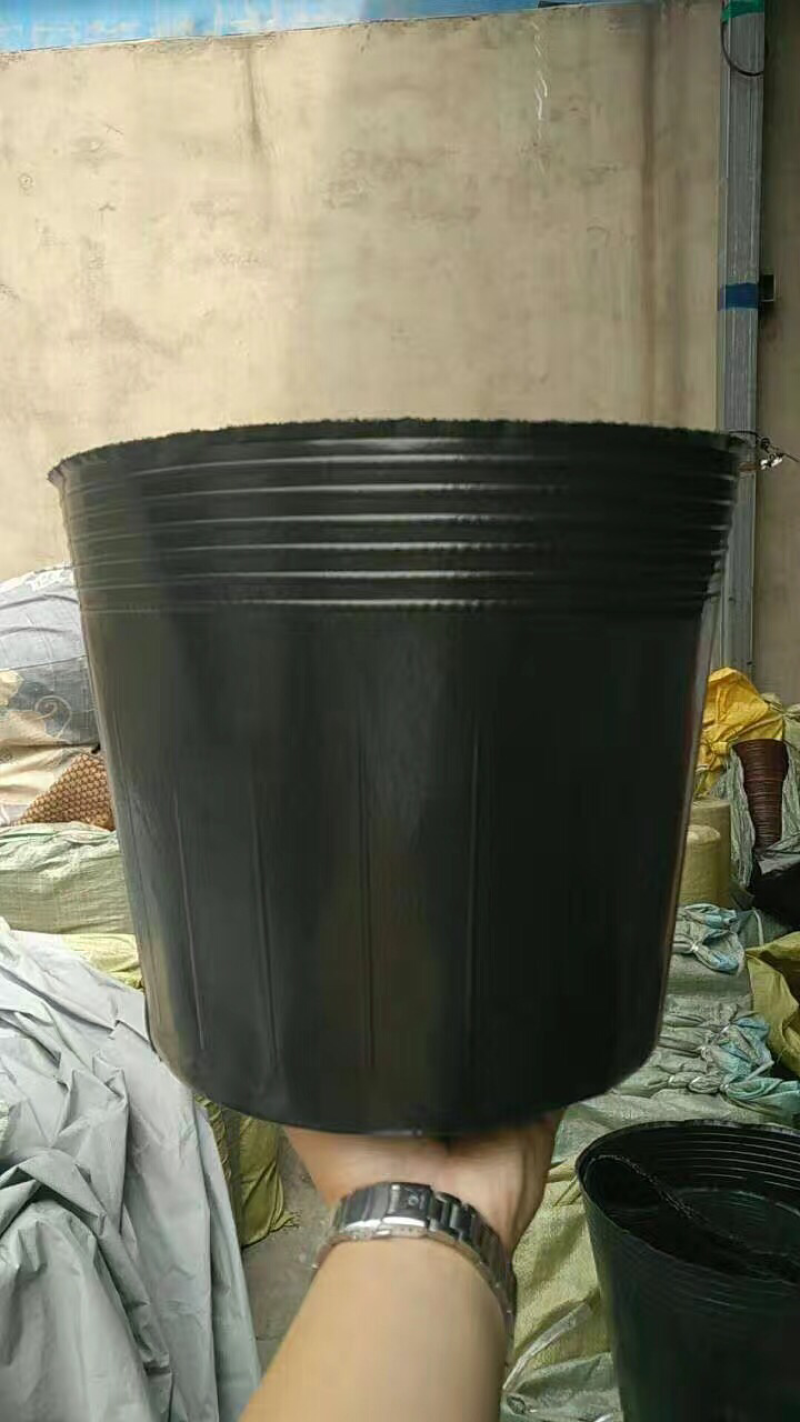 【热销】营养钵荷花专用杯无空营养钵荷花盆水生植物营养钵