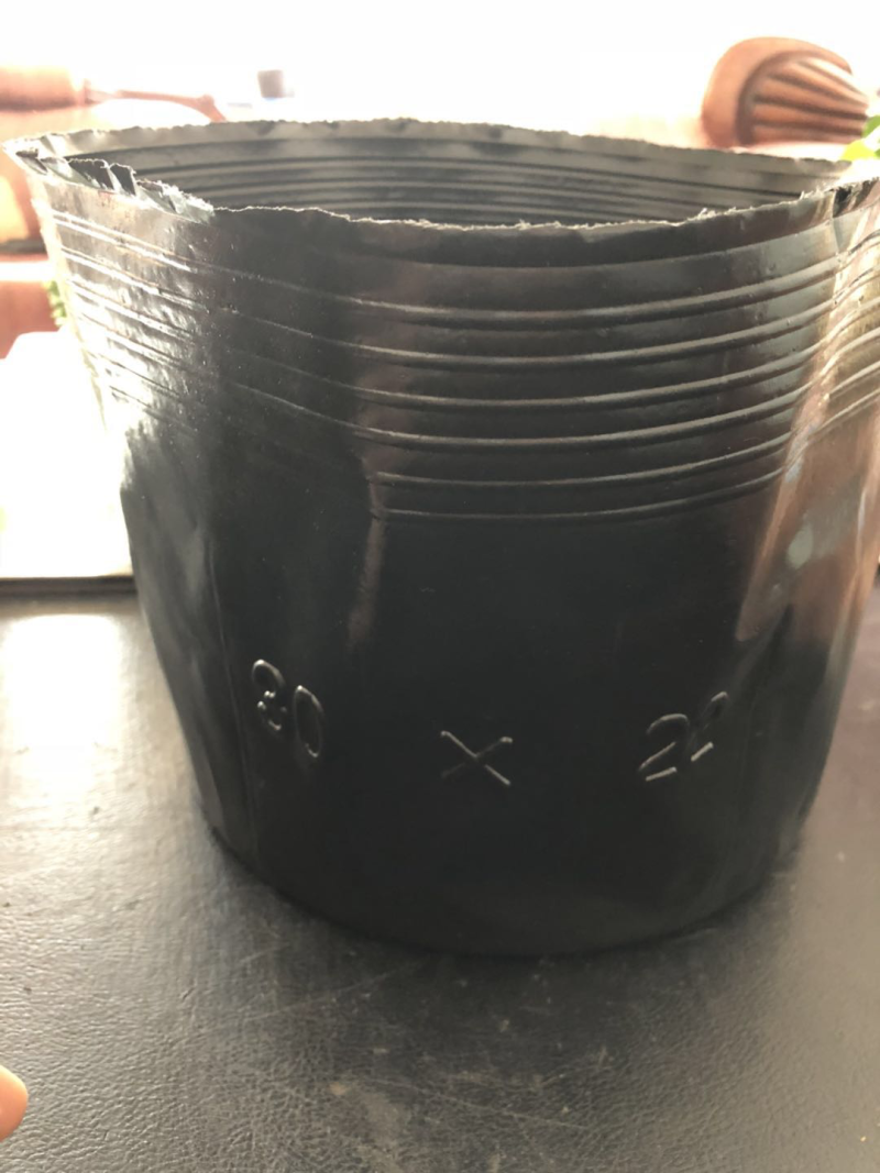 【热销】营养钵荷花专用杯无空营养钵荷花盆水生植物营养钵