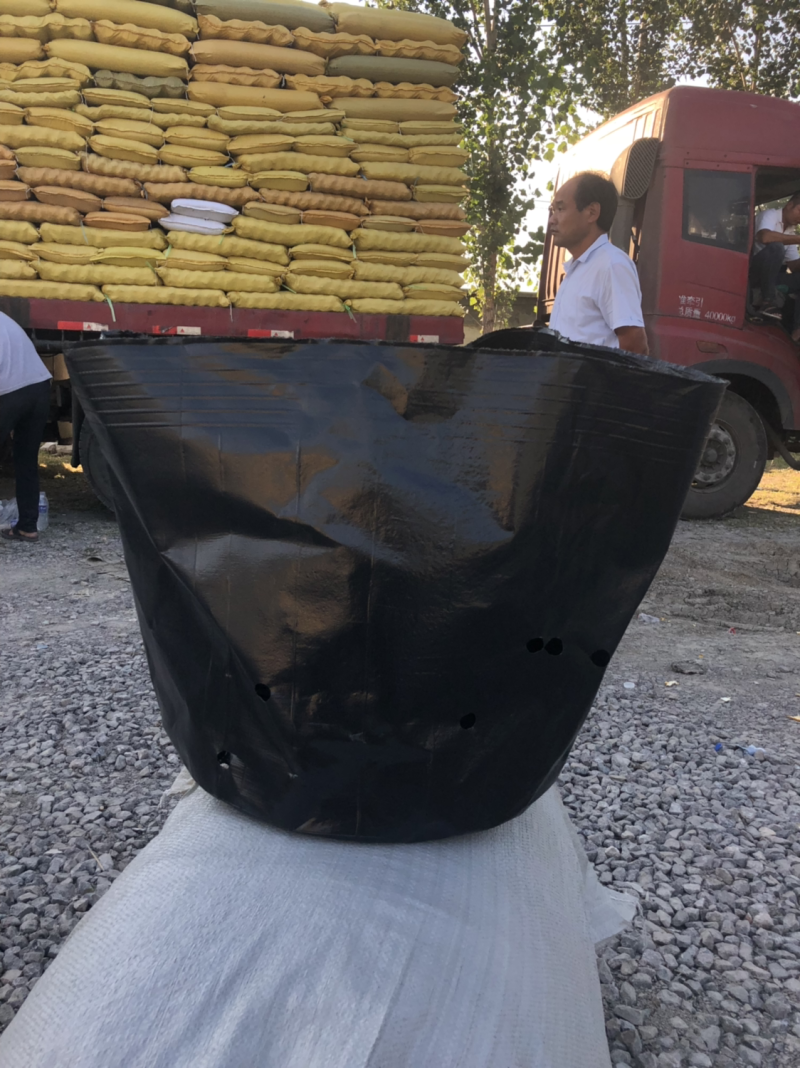 【热销】营养钵荷花专用杯无空营养钵荷花盆水生植物营养钵