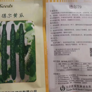 德瑞特德尔79，早春直播油亮黄瓜，20g/包
