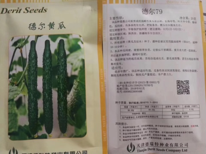 德瑞特德尔79，早春直播油亮黄瓜，20g/包