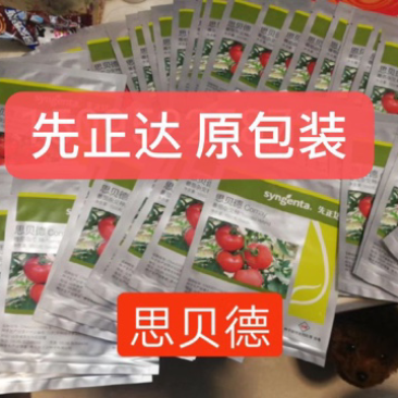 原包装先正达思贝德番茄种子