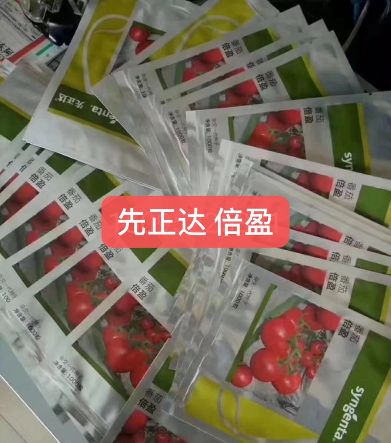 原包装先正达思贝德番茄种子