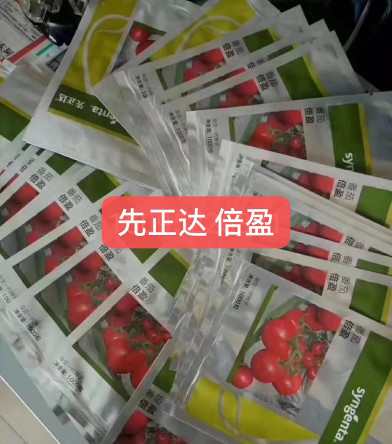 先正达倍盈番茄种子