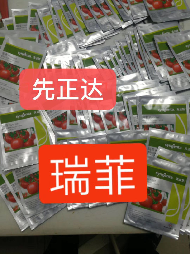 先正达倍盈番茄种子