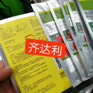 先正达齐达利大红番茄种子