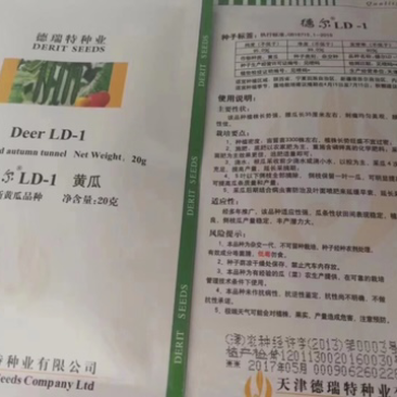 德瑞特德尔ld-1露地直播油亮黄瓜，20g/袋