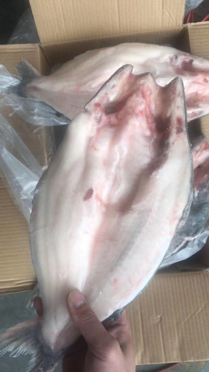 开背鱼/龙利鱼/巴沙鱼