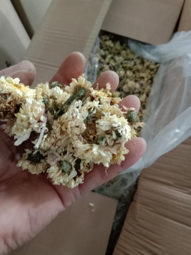 菊花正宗河南本地怀菊花药用价值高不建议喝茶
