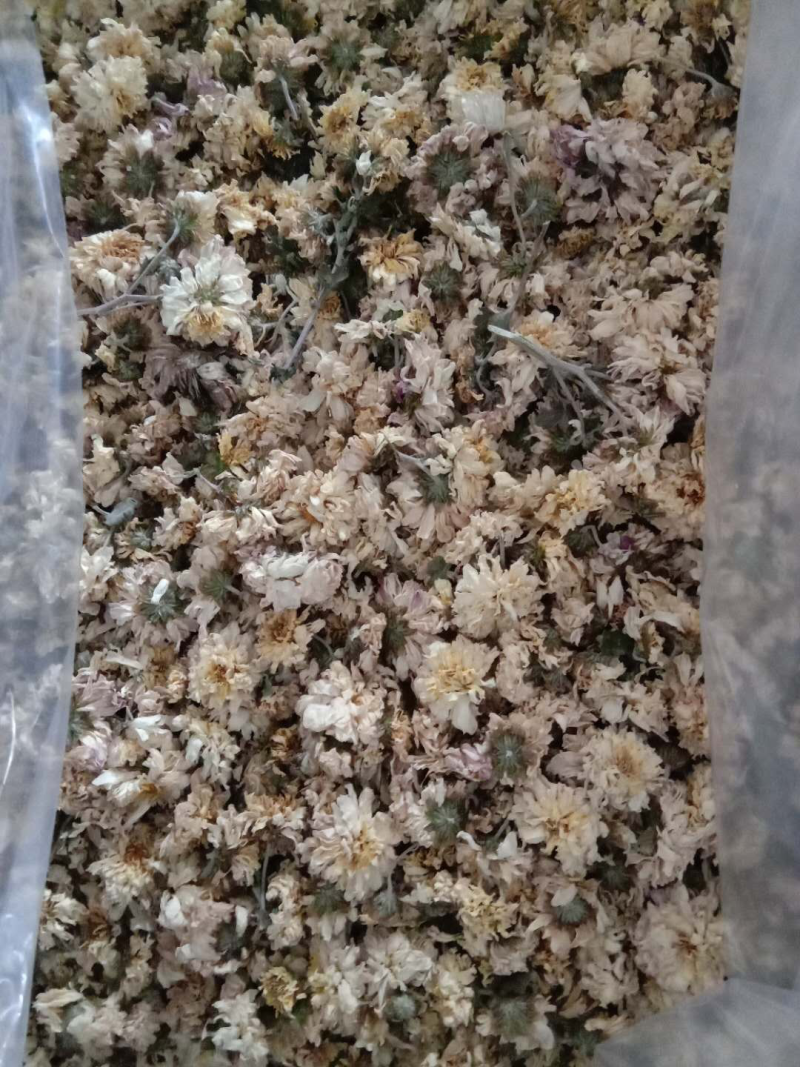 菊花正宗河南本地怀菊花药用价值高不建议喝茶
