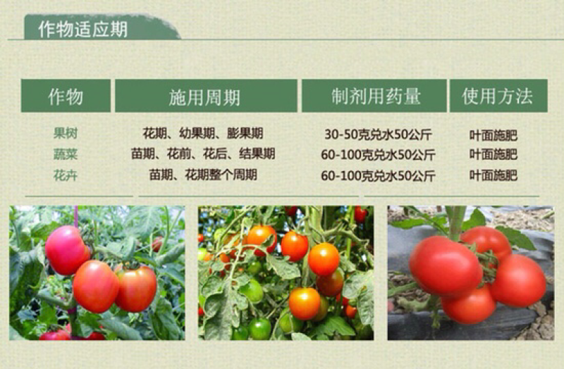 南轻科技99.5%磷酸二氢钾花肥园艺肥料钾肥磷肥叶面