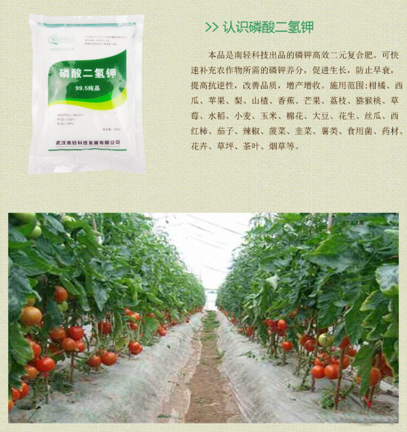 南轻科技99.5%磷酸二氢钾花肥园艺肥料钾肥磷肥叶面