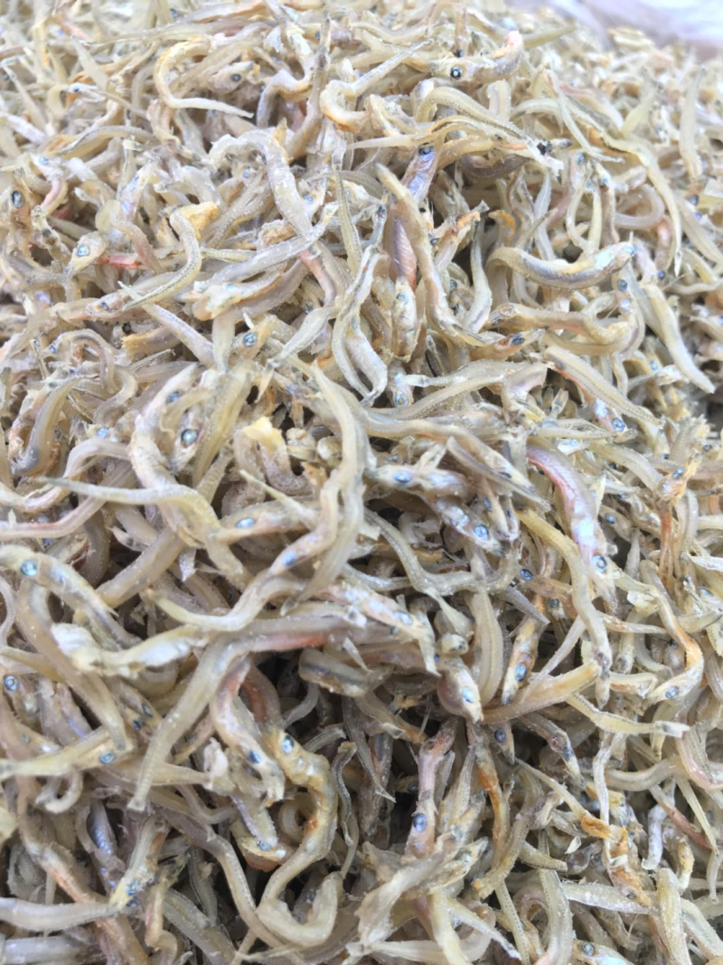 小鱼干沙丁鱼