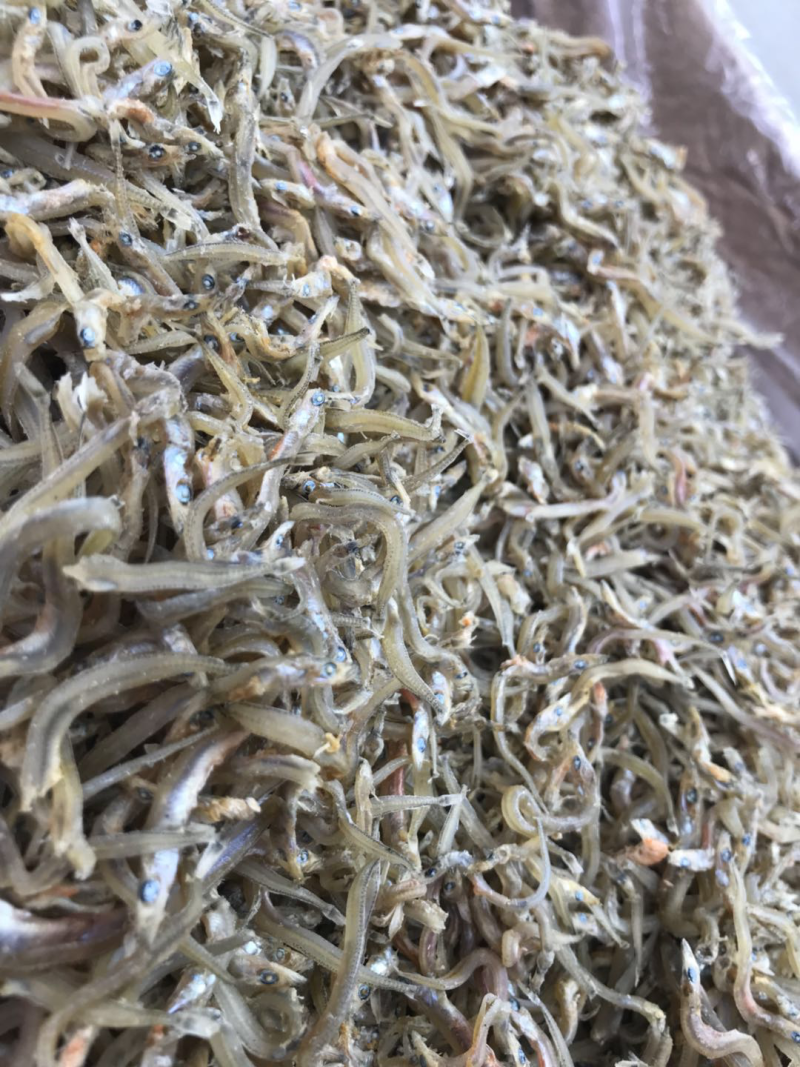 小鱼干沙丁鱼