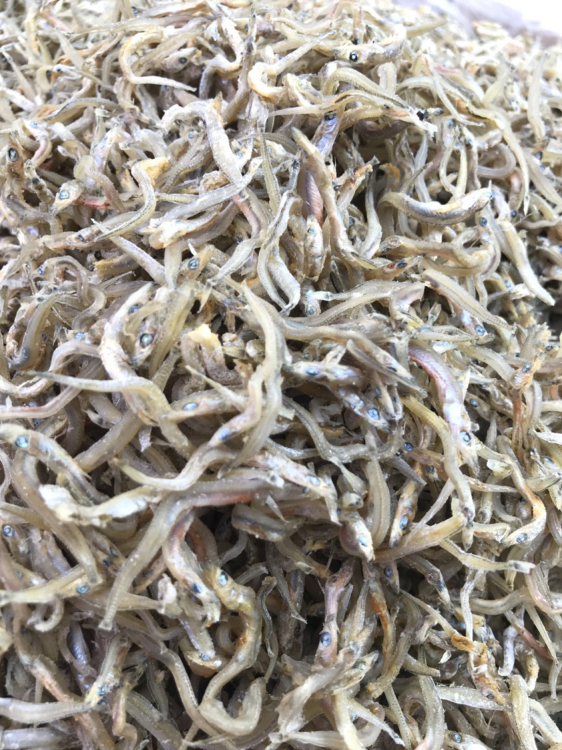 小鱼干沙丁鱼