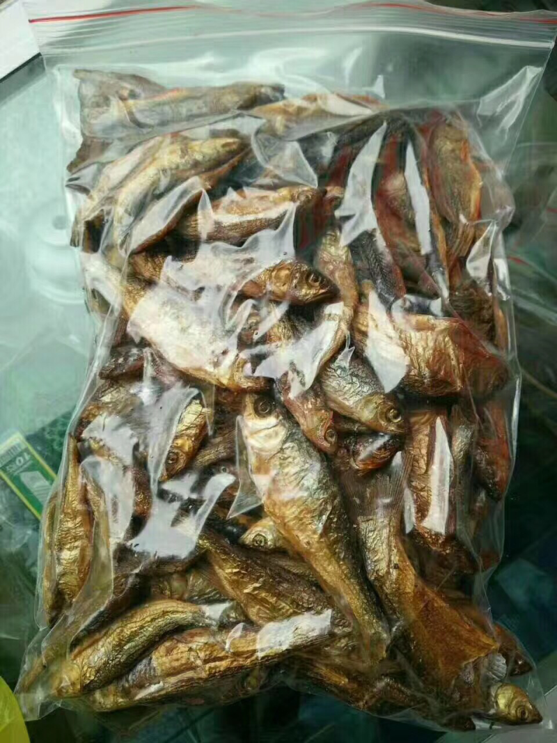 优质野生火焙鱼