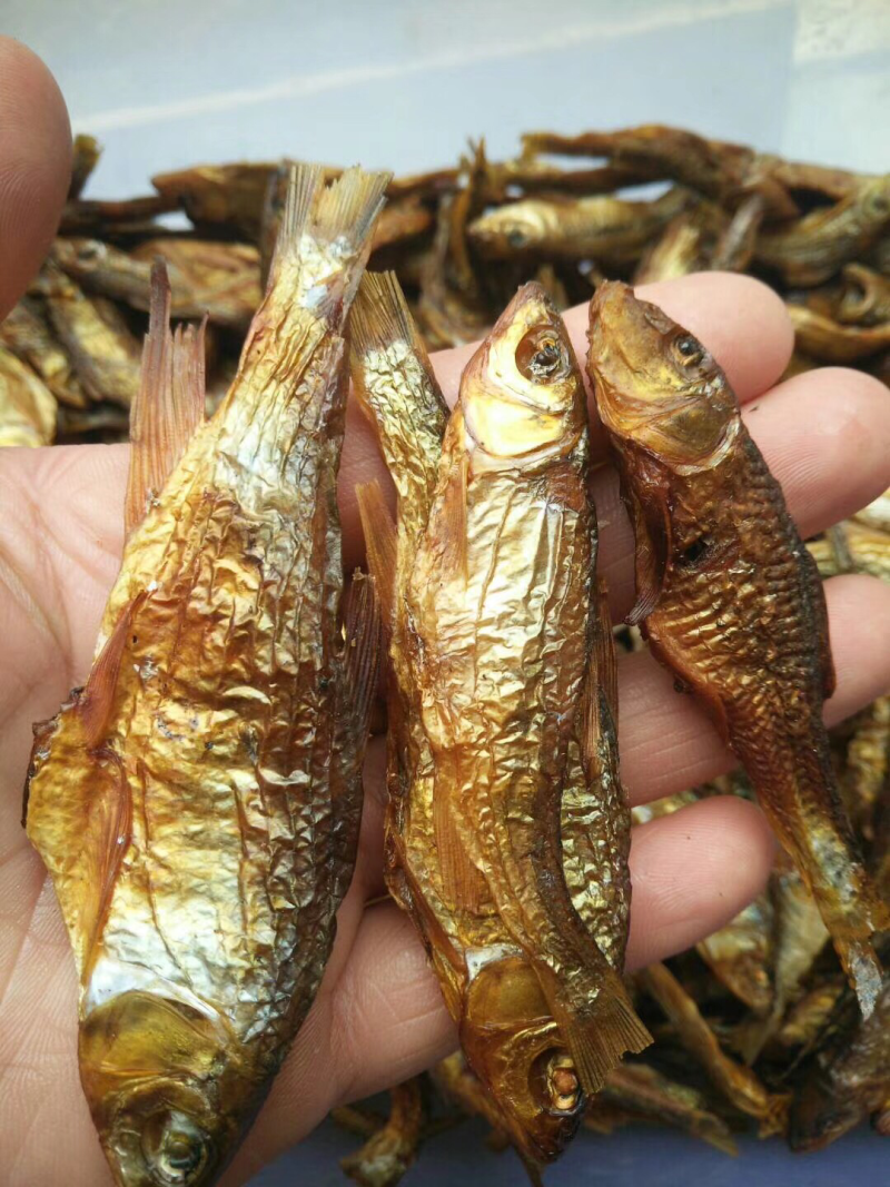 优质野生火焙鱼