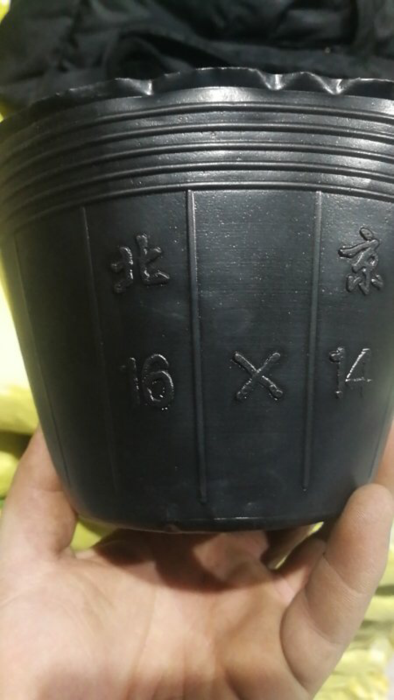 营养钵，育苗钵，营养碗育苗袋16-14（4000个）