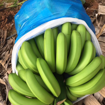香蕉
